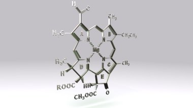 Klorofil D moleküler yapısı formülü