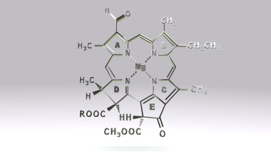 Klorofil D moleküler yapısı formülü