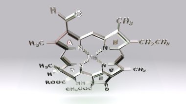 Klorofil D moleküler yapısı formülü