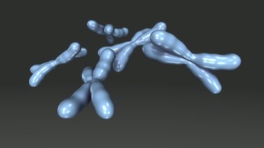 İnsan kromozomlar hücreleri