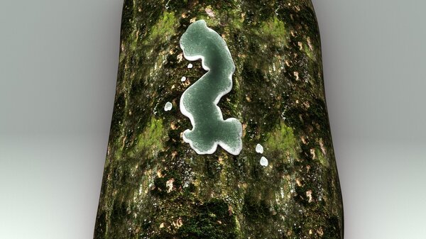  Trichoderma culturable fungi