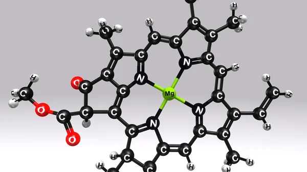 Klorofil A moleküler yapısı formülü — Stok fotoğraf