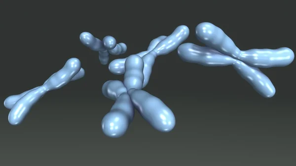 Cellules de chromosomes humains — Photo