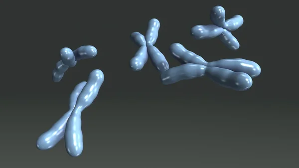 Human Chromosomes cells — Stock Photo, Image