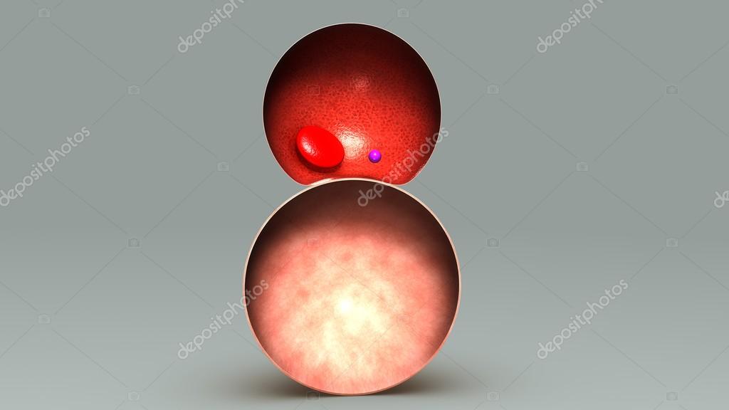 sciencepics