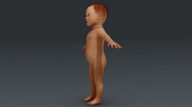 çocuk, yürümeye başlayan çocuk vücut görünümü