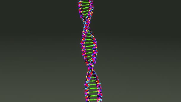 人間の Dna の分子構造 — ストック動画