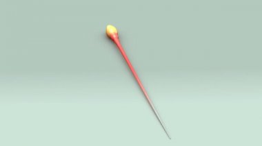 meni, sperm, spermatozoon