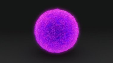 Ovum, dişi yumurta hücresi