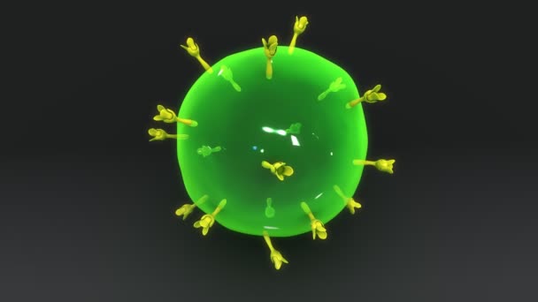 Lidské T-lymfocyt — Stock video
