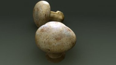 Agaricus Bisporus, champignones mantar