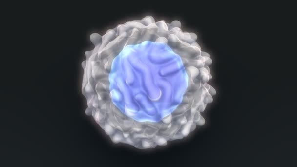 白血球細胞 — ストック動画