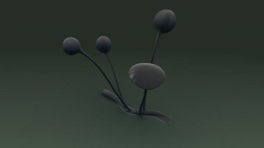 Aplanospores, yosun nonmitile sporlar