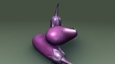 Solanum melongena, patlıcan