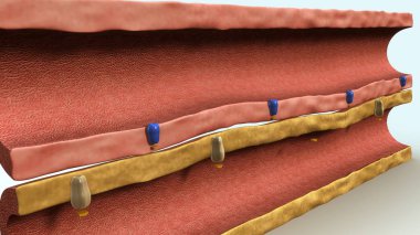 İdrar ve kan Vescle