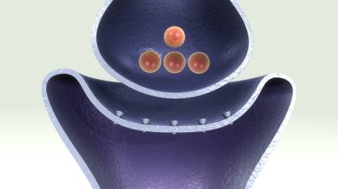 3D Acetylchloline yayın  