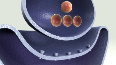 3D Acetylchloline yayın  