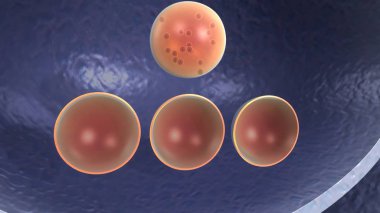 3D Acetylchloline yayın  