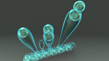 Exospores 3d illustration