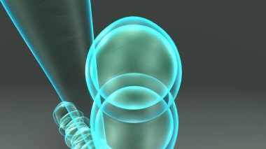 Exospores 3d illustration