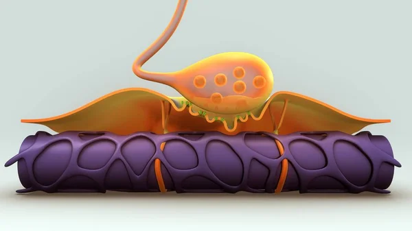 Neuron Motor — стоковое фото