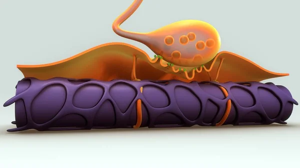 Koncepcja silnika neuron — Zdjęcie stockowe