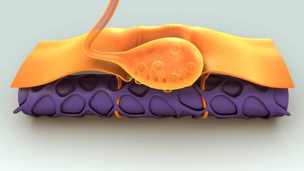 Concepto Neuron Motor — Foto de Stock