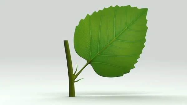 Green leaf illustration — Stock Photo, Image