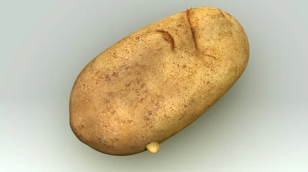 Solanum Tuberosum (картофель) ) — стоковое фото