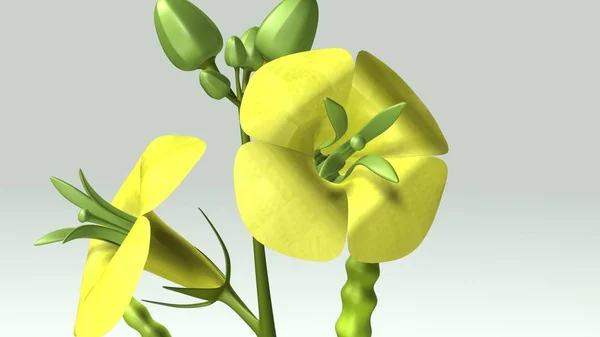 Angiospermic plant 3d — Stockfoto