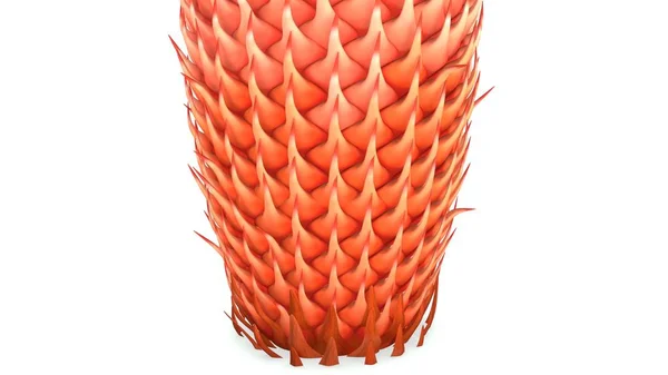 Cycas male cone — Stock Photo, Image