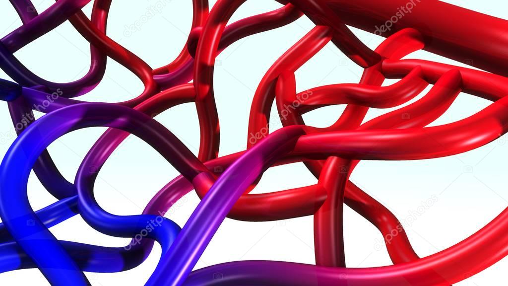 Arteries and veins illustration