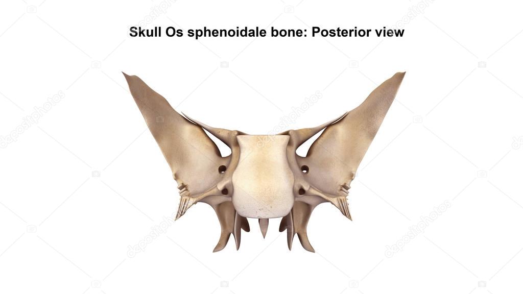 sciencepics