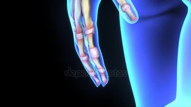 Siyah arka plan üzerine el kemikleri