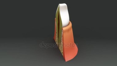 3D Anatomi kavramı 