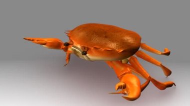 Beyaz arka plan üzerinde 