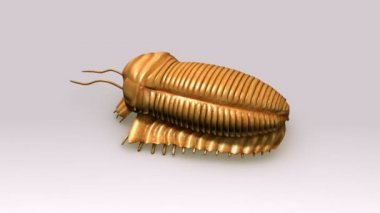 Lumbricus beyaz arka plan üzerinde 