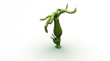 Lumbricus beyaz arka plan üzerinde 