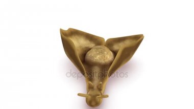 Lumbricus beyaz arka plan üzerinde 