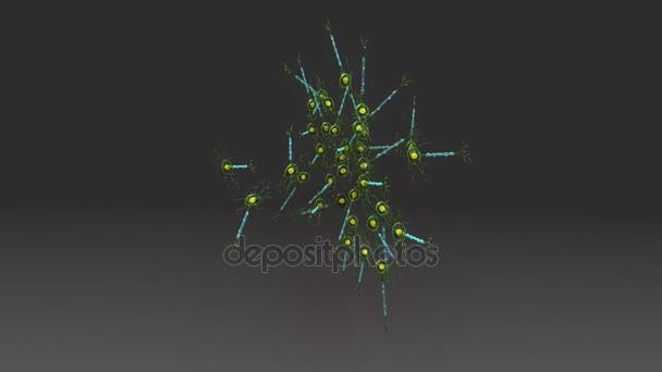 Struktur der Neuronen auf schwarz — Stockvideo