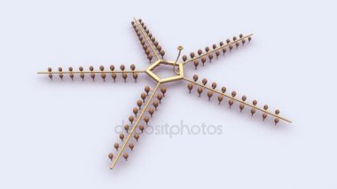 Yıldız balık su damar sistemi