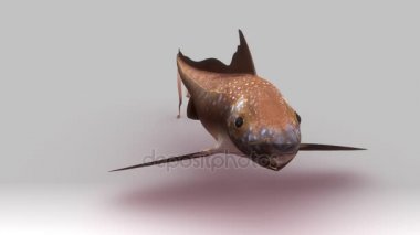 gri arka plan üzerinde 