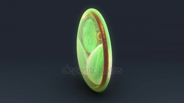 Lumbricus beyaz arka plan üzerinde 