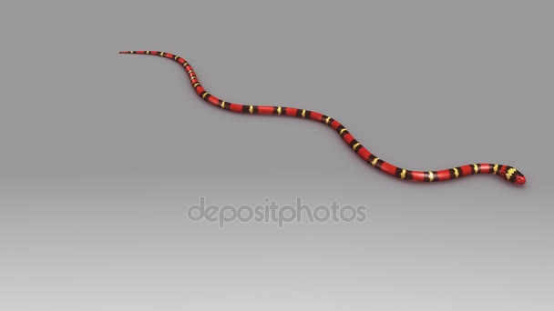 Serpente de coral selvagem — Vídeo de Stock