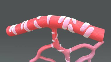 Kılcal Difüzyon illüstrasyon