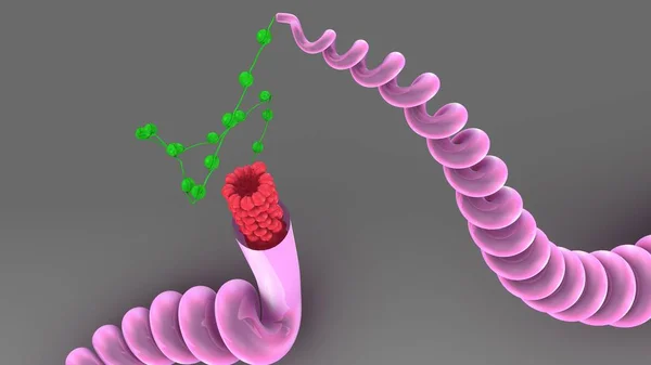 Estrutura do ADN humano — Fotografia de Stock