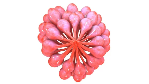 3d Mammary glands — Stock Photo, Image