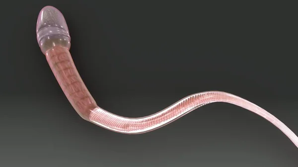 Illustration 3D du sperme — Photo