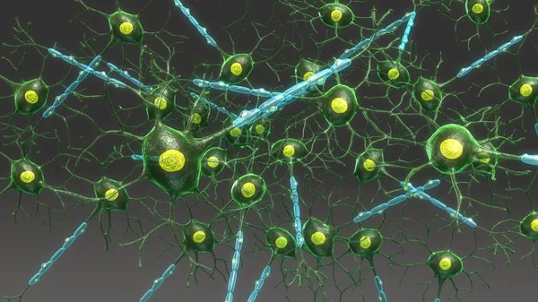 Δομή νευρώνα εναέρια — Φωτογραφία Αρχείου