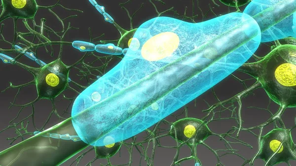 空中のニューロンの構造 — ストック写真